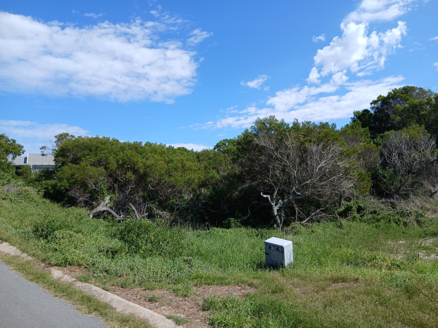 0 Bedroom Property for Sale in Paradise Beach Eastern Cape